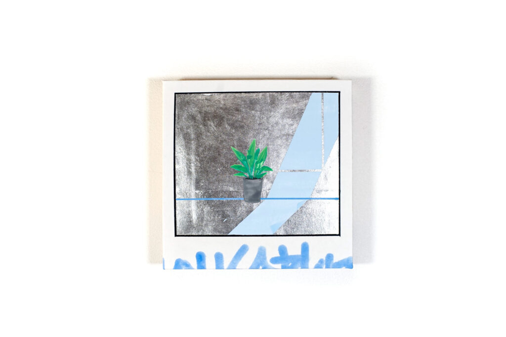 展示作品「新埜康平 house plant#27」