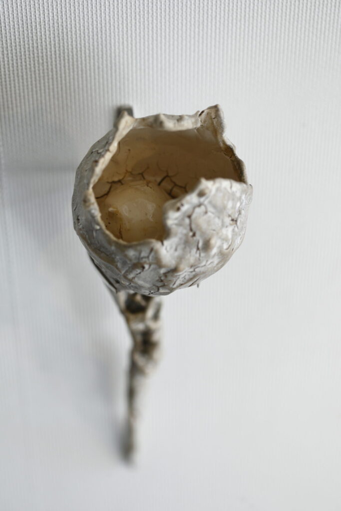 展示作品《Re-birth》