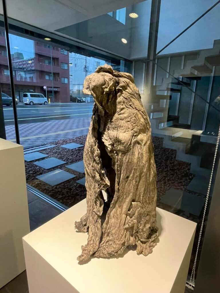 展示作品《Re-birth》