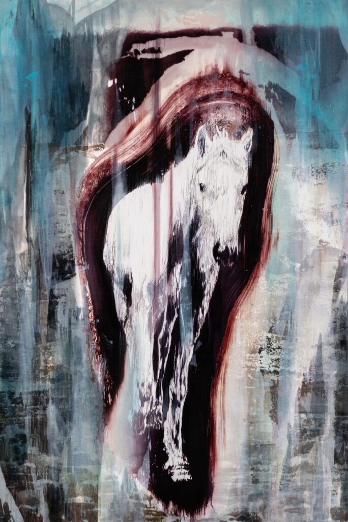 展示作品《untitled(horse no.1)》