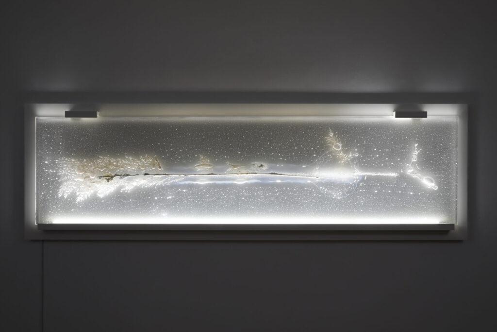 《Reminiscences of the Garden-from Jacob Knapp-》佐々木類