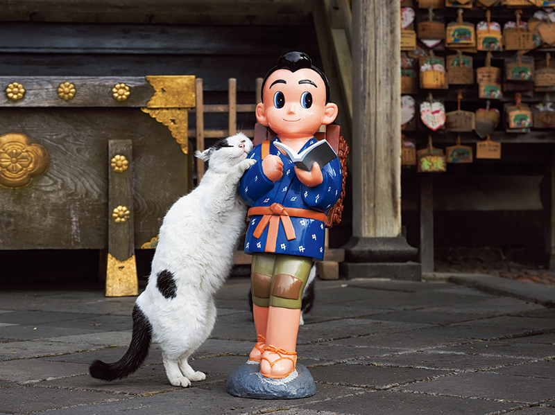 栃木県、日光市　© Mitsuaki Iwago