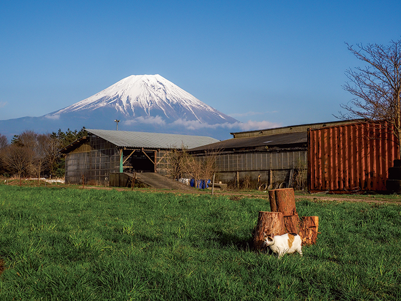 静岡県、富士宮市　© Mitsuaki Iwago