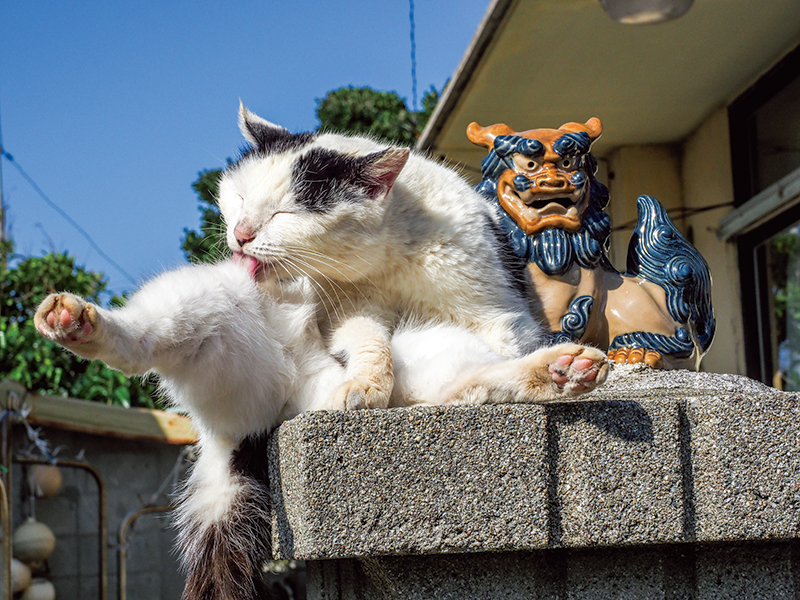 沖縄県、南城市、久高島　© Mitsuaki Iwago