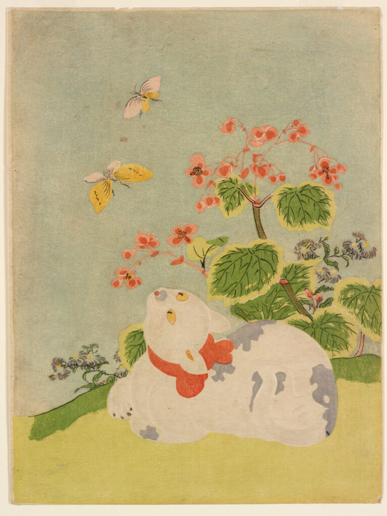鈴木春信(無款)《秋海棠に蝶と猫》