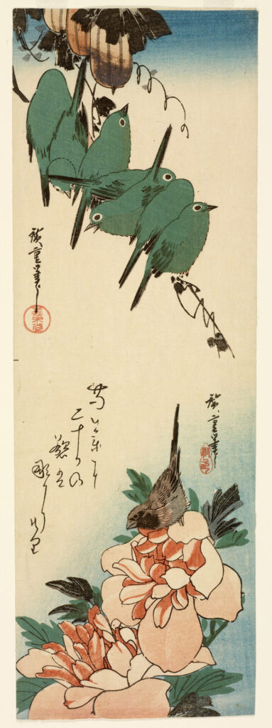 歌川広重《烏瓜に目白/芍薬に小鳥》
