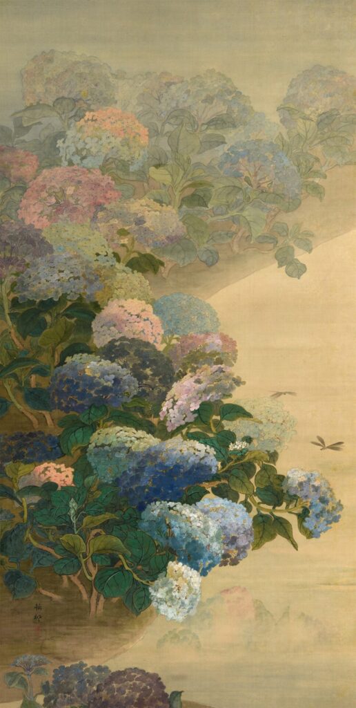 《紫陽花》前田錦楓