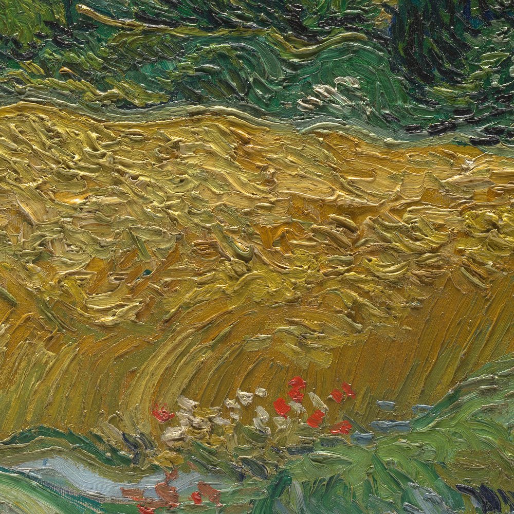 《糸杉のある麦畑》の部分拡大。画面の下端近く。黄色い麦の手前で、緑の草の中に小さな赤い花が点々と見える。