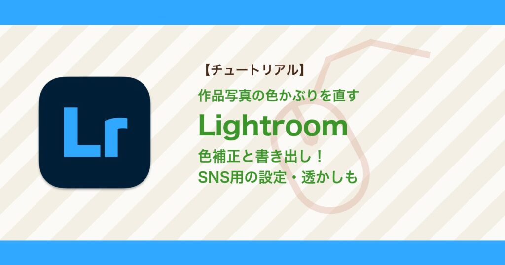 Lightroomで作品写真の色かぶりを補正して書き出す方法｜SNS用の設定・透かしまで