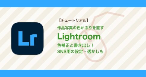 Lightroomで作品写真の色かぶりを補正して書き出す方法｜SNS用の設定・透かしまで