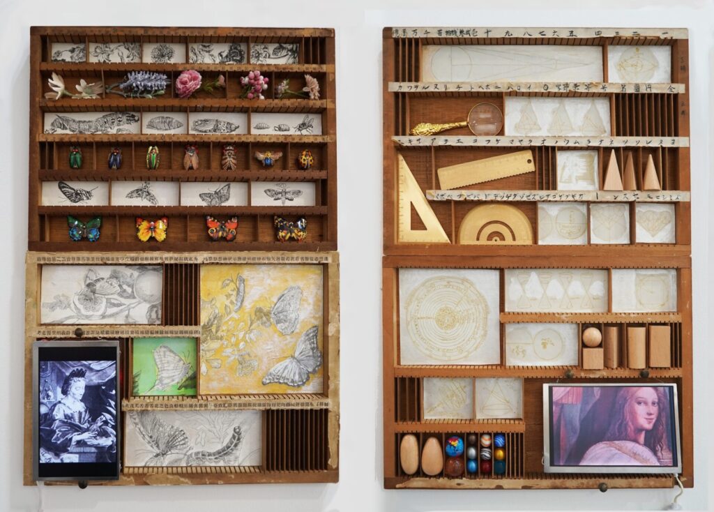 Cabinet of Curiosities - women's contribution(すずえり)