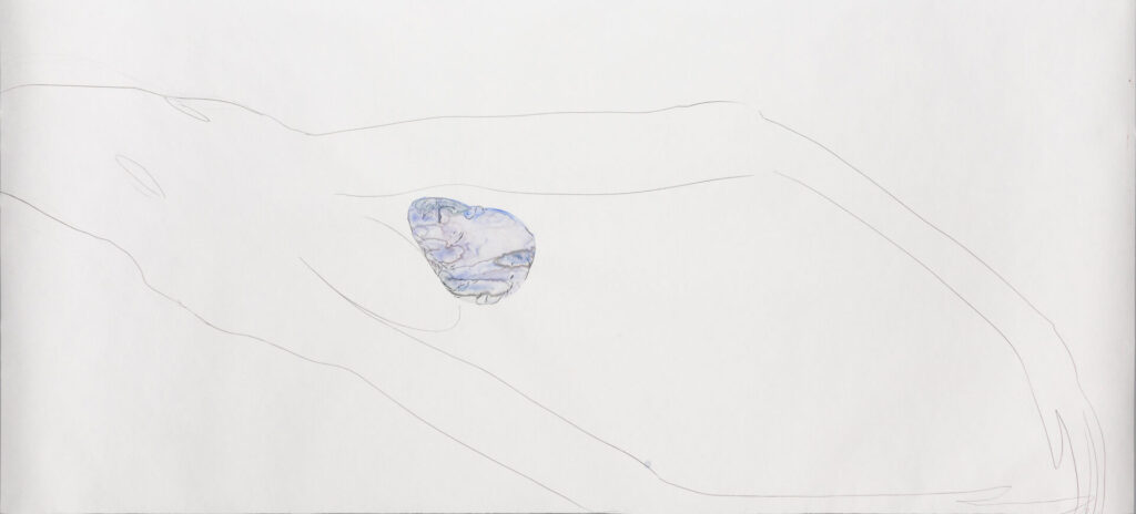 川内理香子《shell》