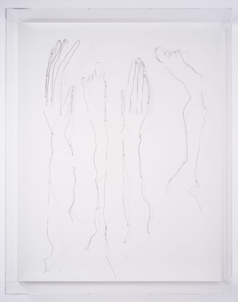 川内理香子《limb》