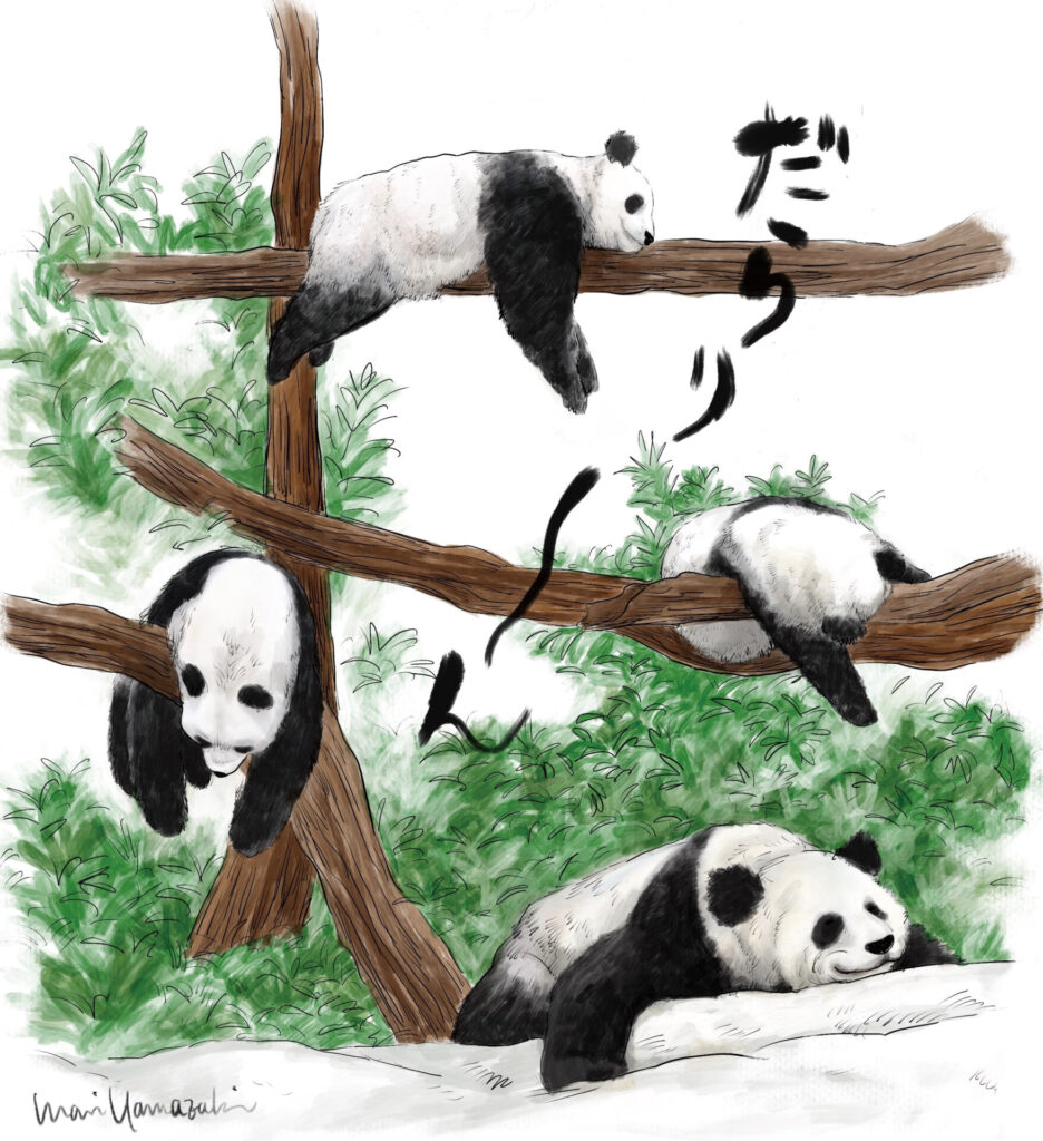 エッセイカット《中国・成都》