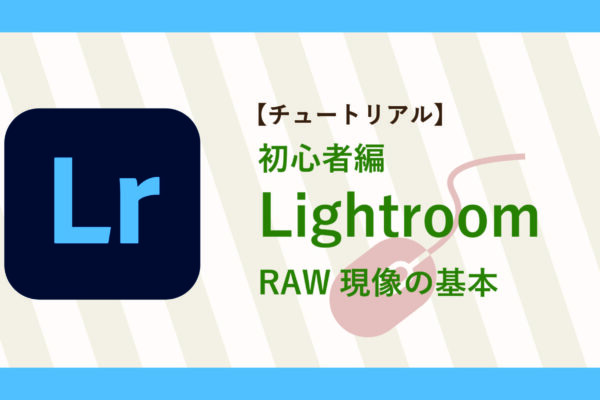 サムネイル-47
