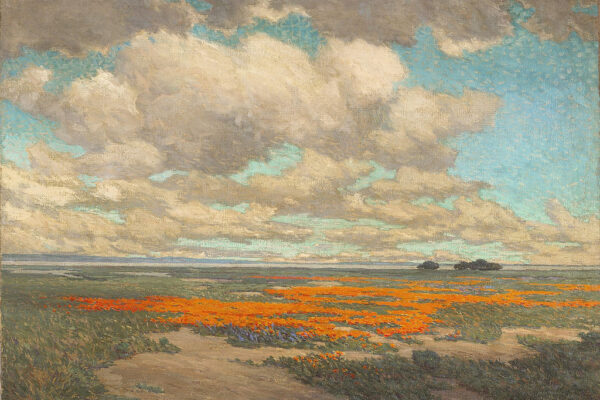 カリフォルニアポピー畑（A Field of California Poppies）