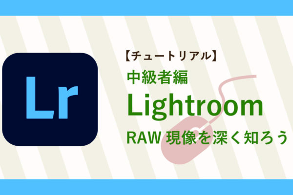 サムネイル-48