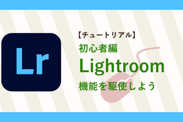 サムネイル-49