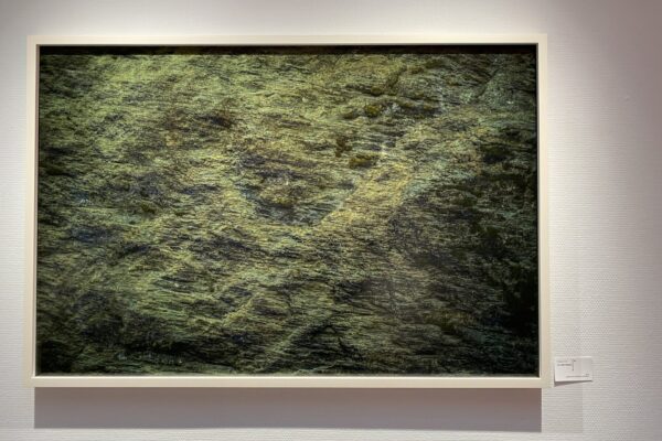 kakimotokensaku exhibition2021-1