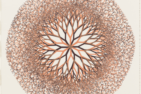 「Desert Flower」、MoMA, https://www.moma.org/artists/