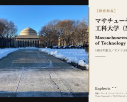 マサチューセッツ工科大学(MIT)とは？アート＆デザイン世界6位の理由を解説